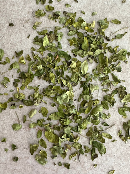 Moringa Oleifera - Mirical Tree - 50G