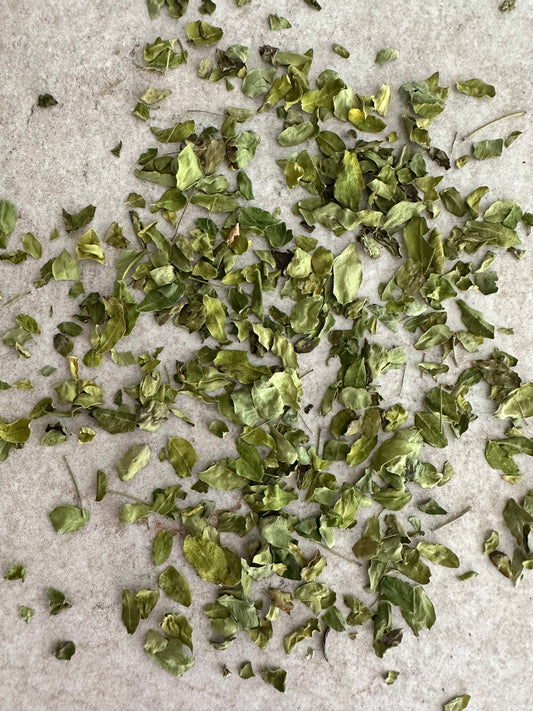 Moringa Oleifera - Mirical Tree - 50G