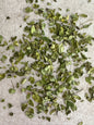 Moringa Oleifera - Mirical Tree - 50G