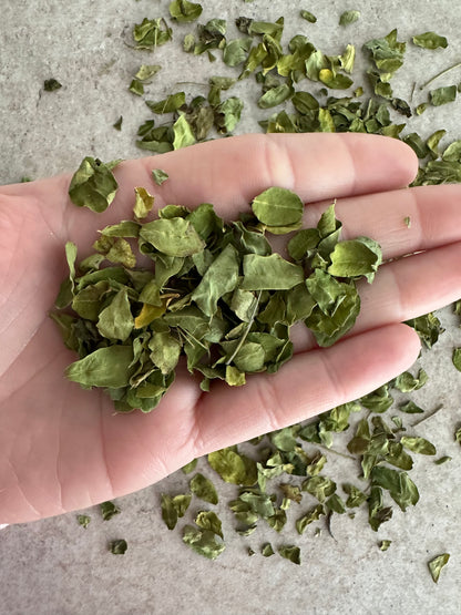 Moringa Oleifera - Mirical Tree - 50G