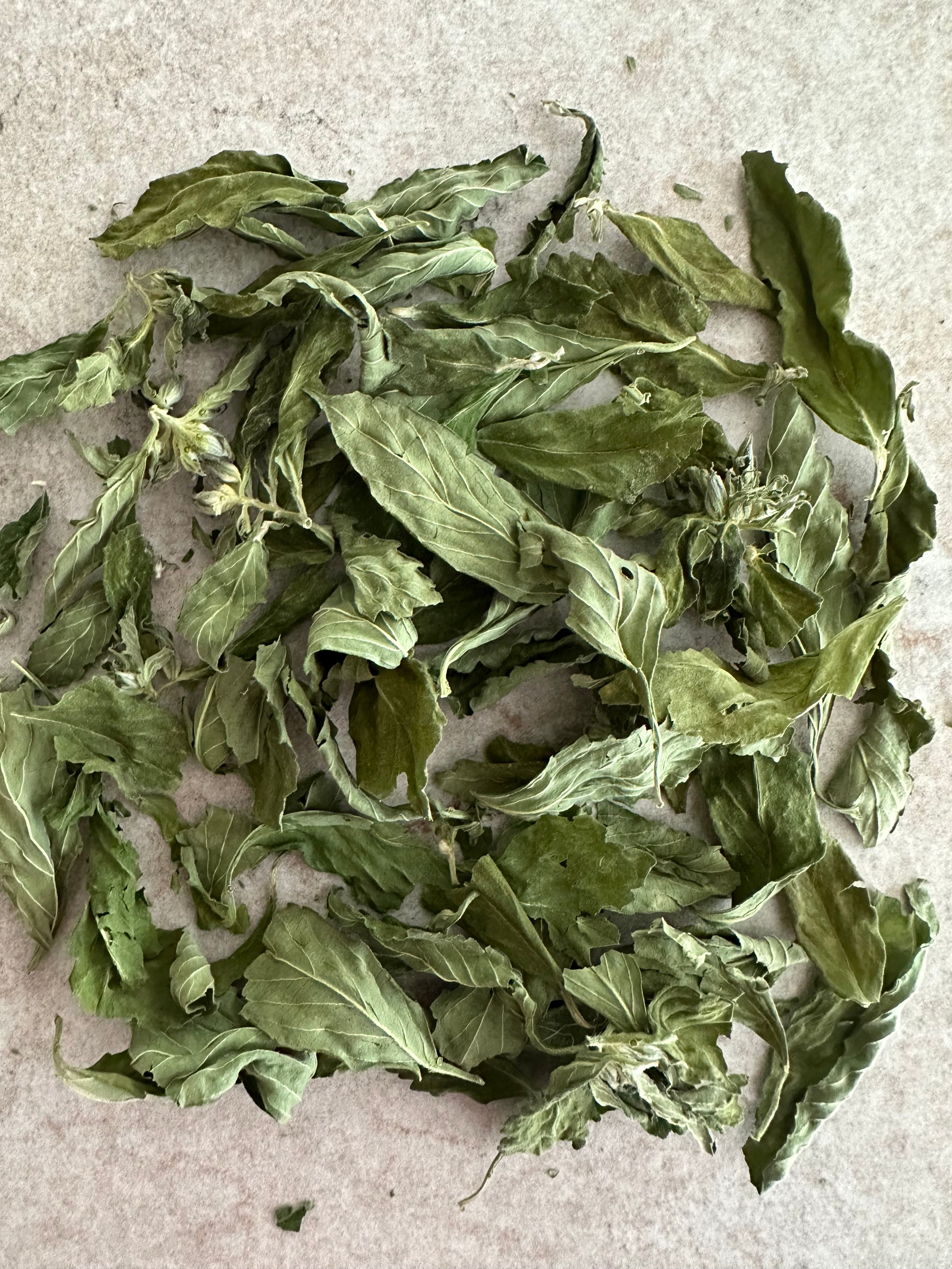 Damiana bladeren - Turnera diffusa