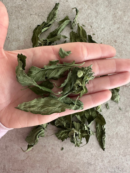 Damiana bladeren - Turnera diffusa - 30 G