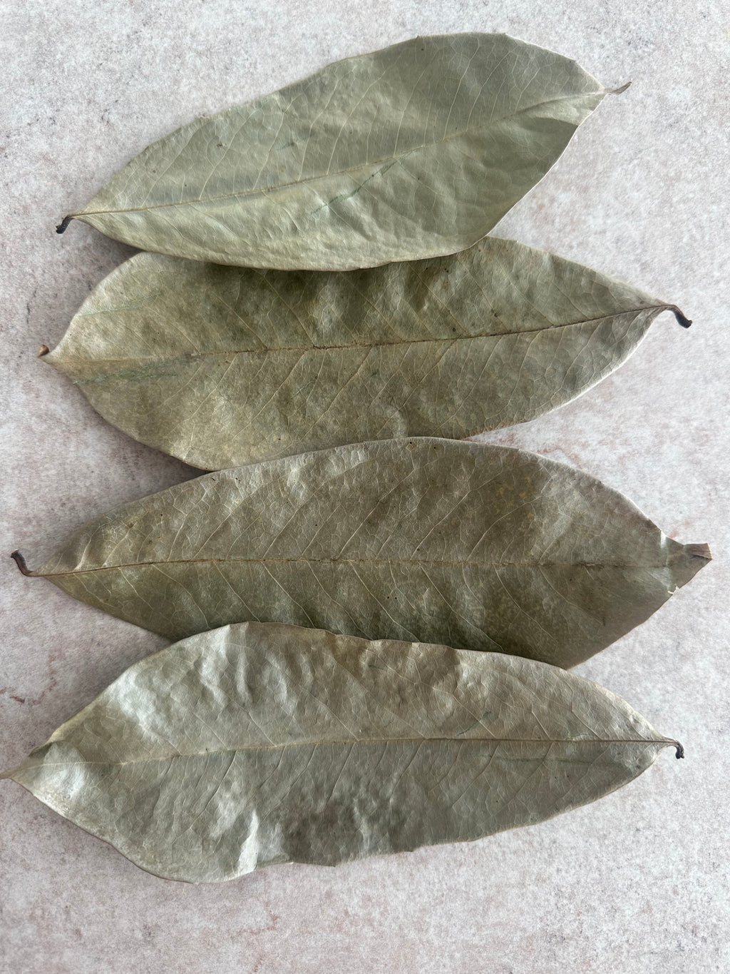 Zuurzakbladeren - Soursop Leaves