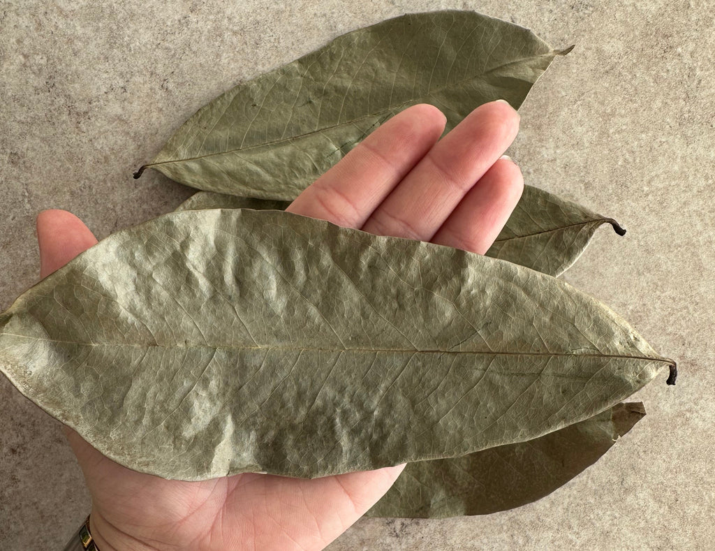 Zuurzakbladeren - Soursop Leaves