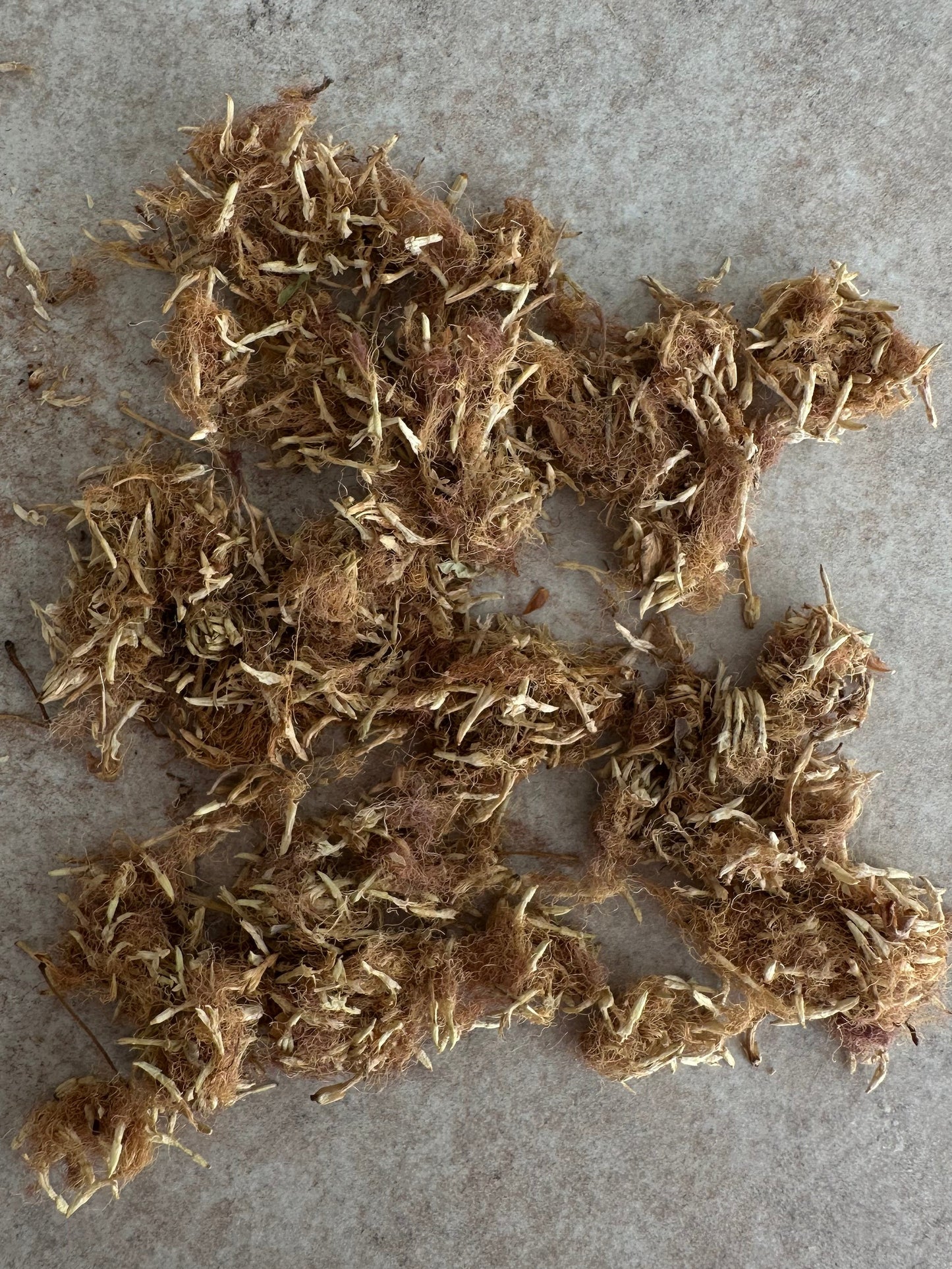 Albizia Flower - He Huan Hua - 30 G